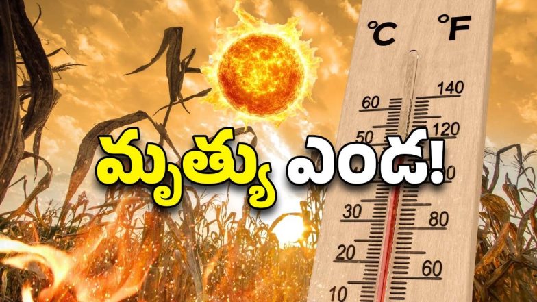 11 Died In Telangana (Image Source: Twitter)