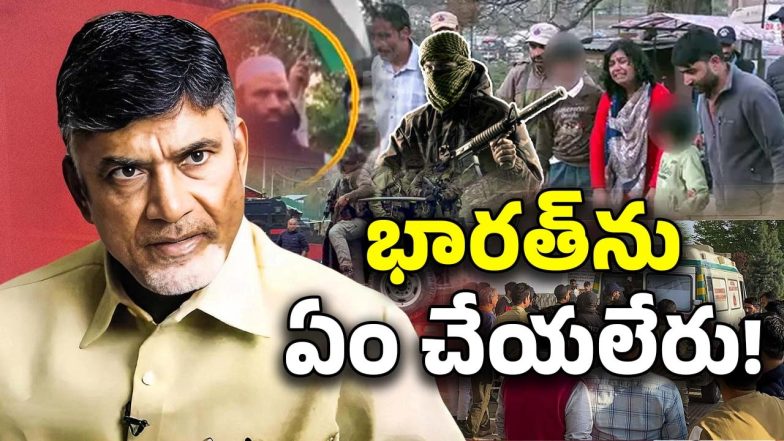 AP CM Chandrababu(image credit:X)