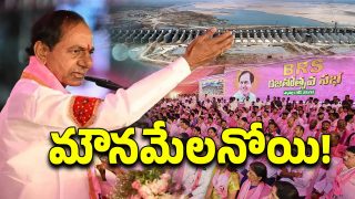 Kaleshwaram project (Image Source: Twitter)