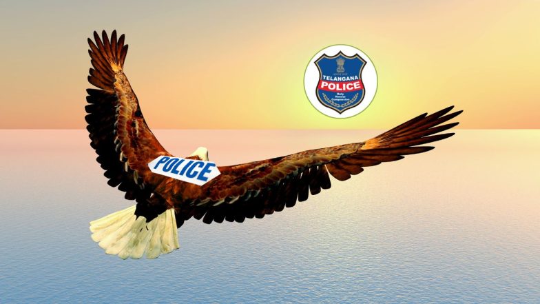 Eagle Squad (image credit:Canva)