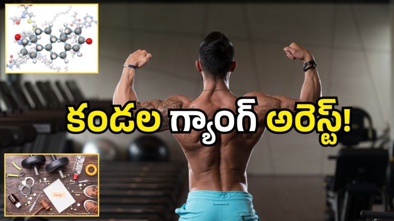 Steroids Gang Arrested (image credit:Canva)