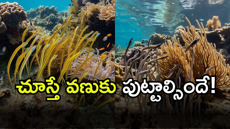 Scariest Sea Animal( Image Source: AI)