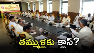 CM Chandrababu(image credit: X)
