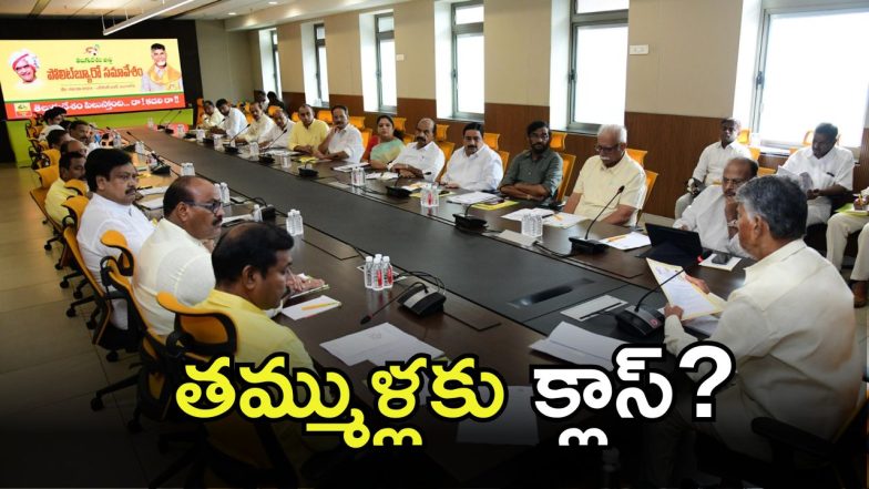 CM Chandrababu(image credit: X)