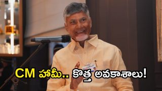 CM Chandrababu ( image credit: twitter)