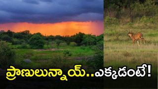 Government on HCU Land (imagecredit:twitter)