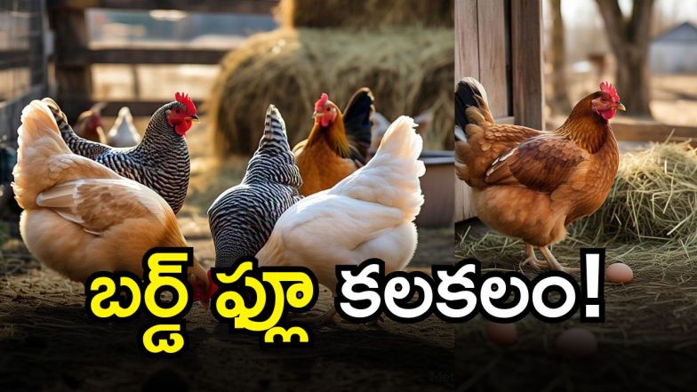 Bird Flu in Batasingaram (imagecredit:AI)