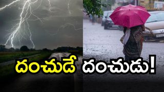 Good News To farmers (imagecredit:twitter)