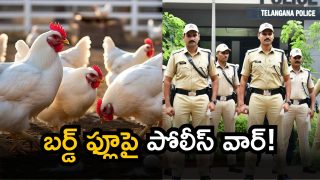 Bird Flu case (Image Source: AI)