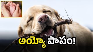 Guntur Tragedy(image credit:X)
