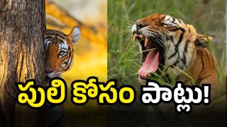Telangana (Image Source : Twitter)