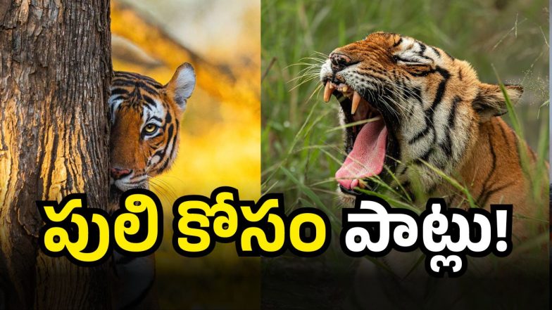 Telangana (Image Source : Twitter)