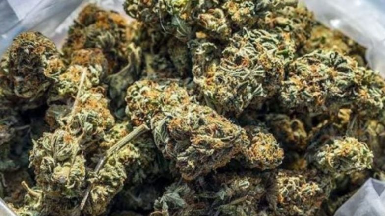 Ganja Seized [image credit; twitter]