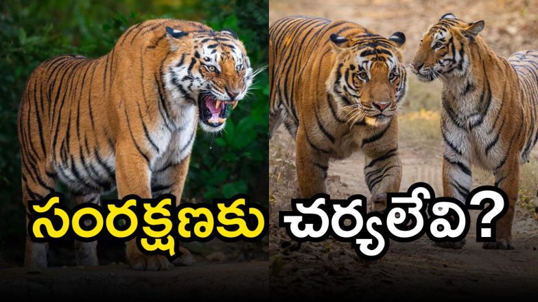 Telangana(image credit:X)