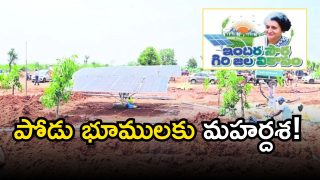 CM Revanth Reddy(image credit:X)