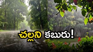 Heavy Rains In TG(image credit:X)