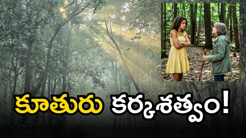 Jagityal Crime(image credit:AI)