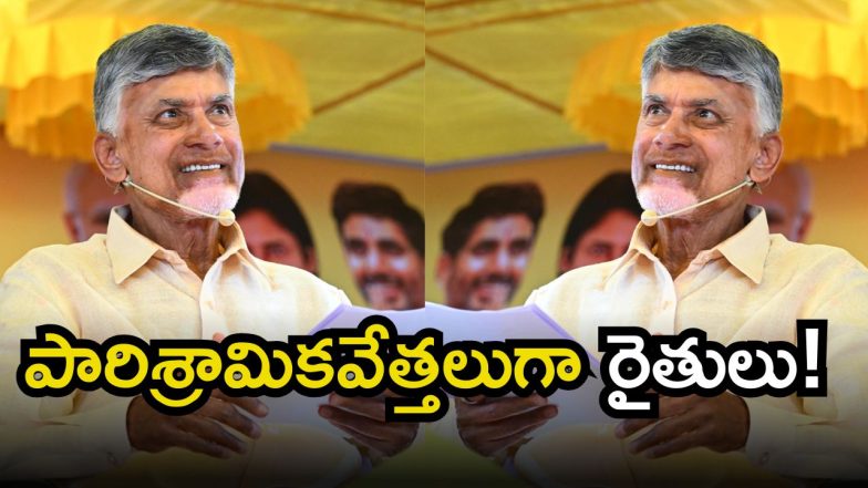 CM Chandrababu(image credit:X)