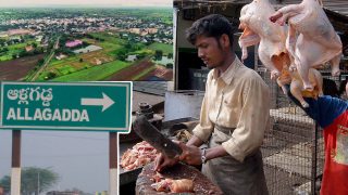 Allagadda Chicken Issue