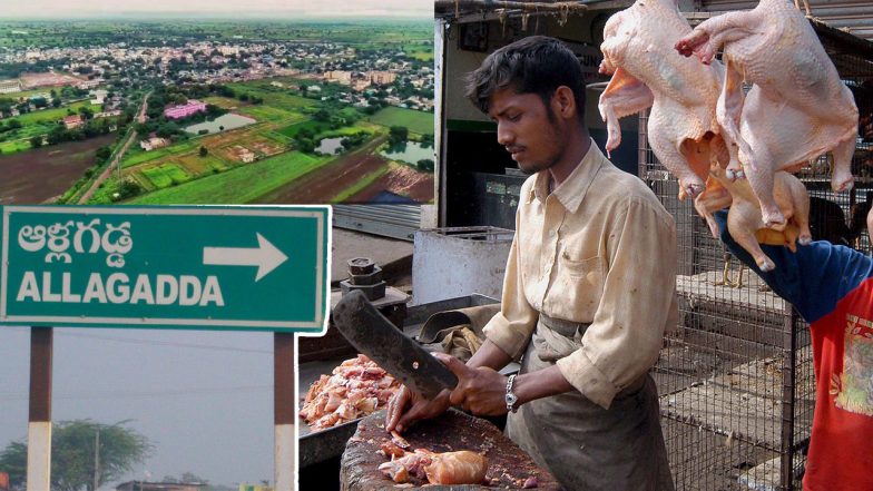 Allagadda Chicken Issue