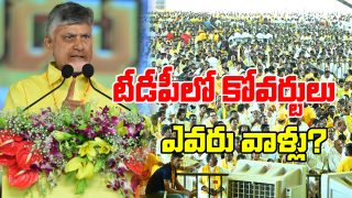 Coverts In TDP