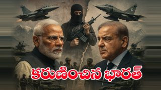 India And Pak Ceasefire