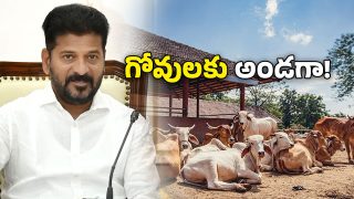 CM Revanth Reddy (Image Source: Twitter)