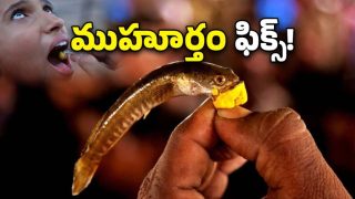Fish Prasadam (imagecredit:twitter)