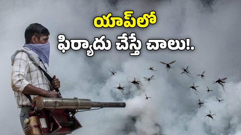 GHMC - Entomology Service( image credit: twitter)