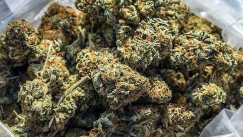 Ganja Seized( iamge credit: twitter