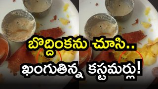 Cockroaches in Dosa ( Image Source: Twitter)