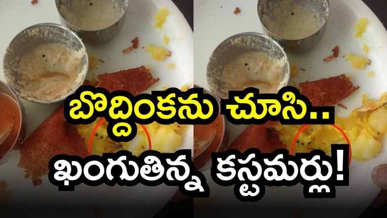 Cockroaches in Dosa ( Image Source: Twitter)