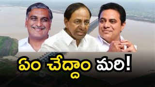 Harish Rao Meets KCR (Image Source: Twitter)