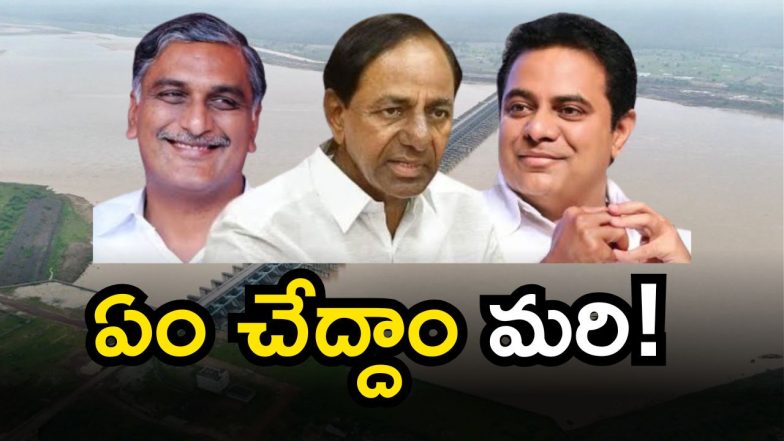 Harish Rao Meets KCR (Image Source: Twitter)