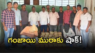 Ganja Seized( IMAGE CREDIT: SWETCHA REPORTER)