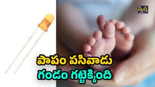 Boy Swallows LED Bulb