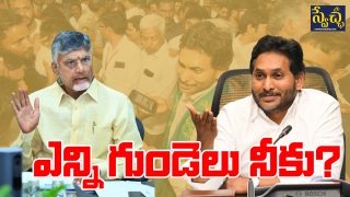 Chandrababu Warning