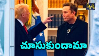 Donald trump Elon Musk