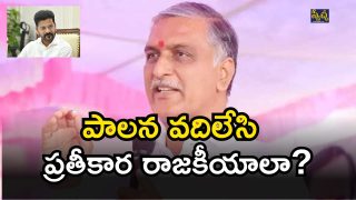 Harish Rao( image credit: twitter)