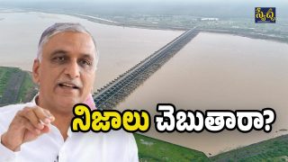 Kaleshwaram project (Image Source: Twitter)