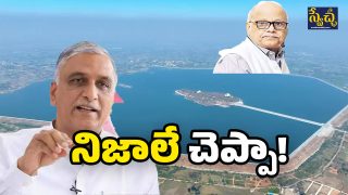 MLA Harish Rao (IMage Source: Twitter)