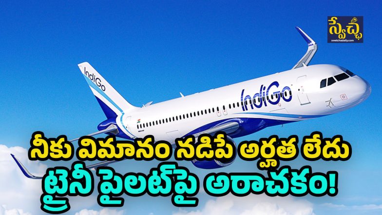 Indigo flight