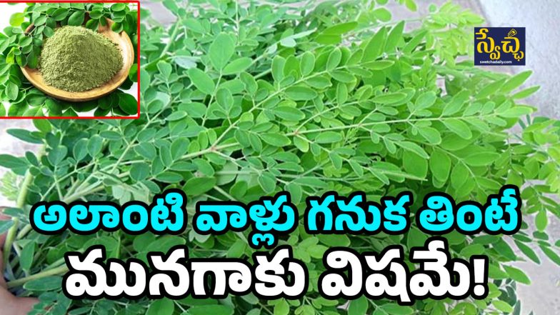 Moringa Leaves
