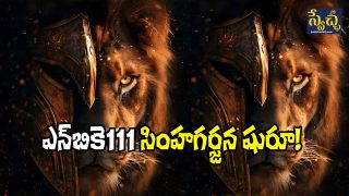 NBK111 Update