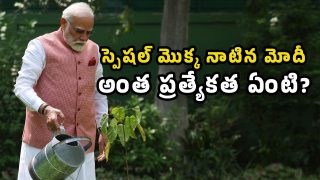 Narendra Modi Sindoor plant