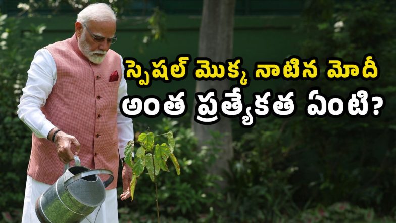 Narendra Modi Sindoor plant
