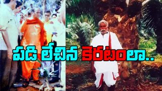 Ntr Plants Oil Farm Plant