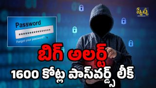 Passwords Leak