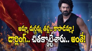 Prabhas The Raja Saab