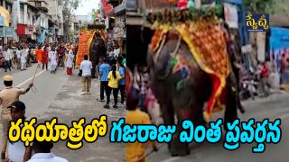 Ratha Yatra